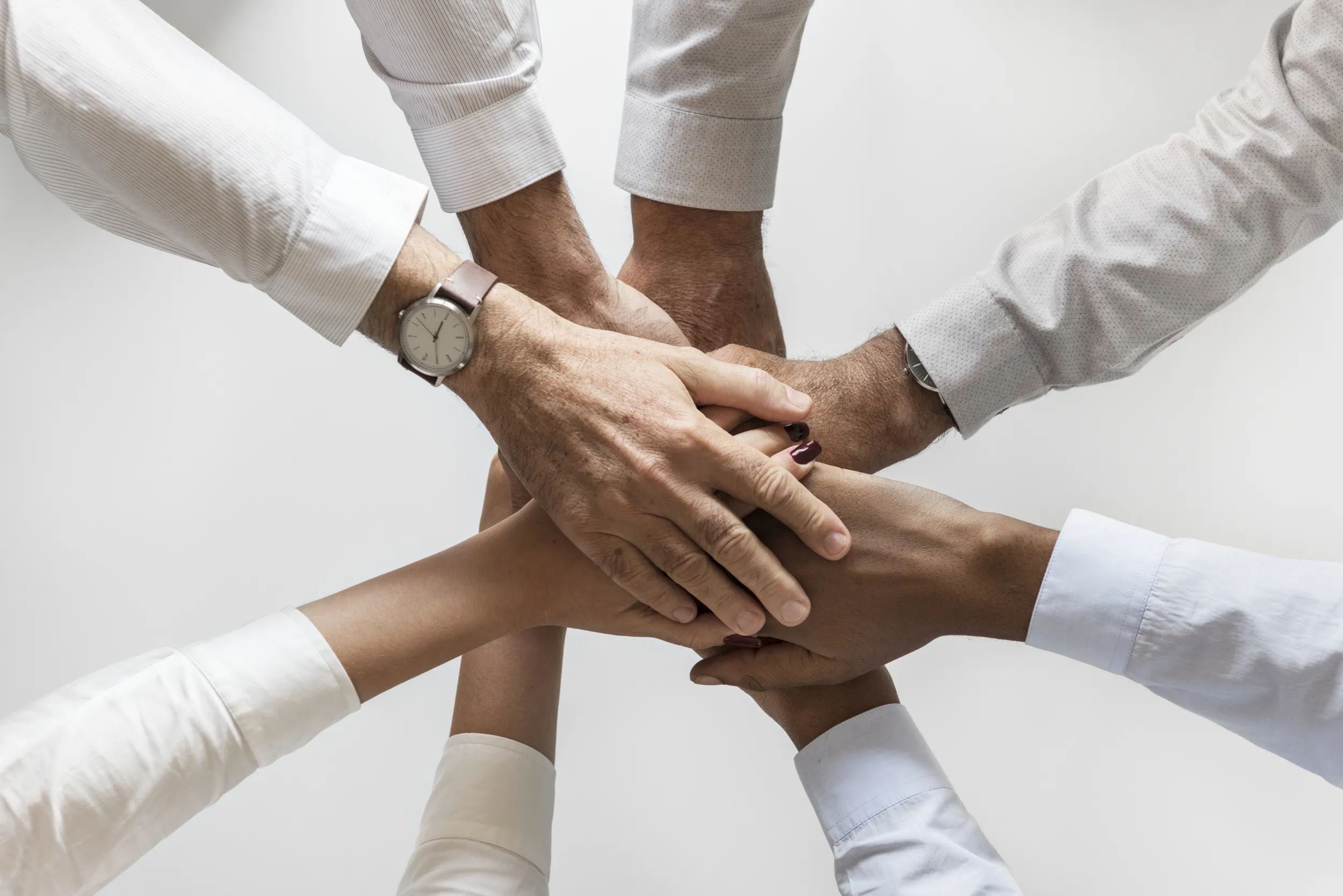 Why to Work With AO Pharmaceuticals(full-kutu-2)